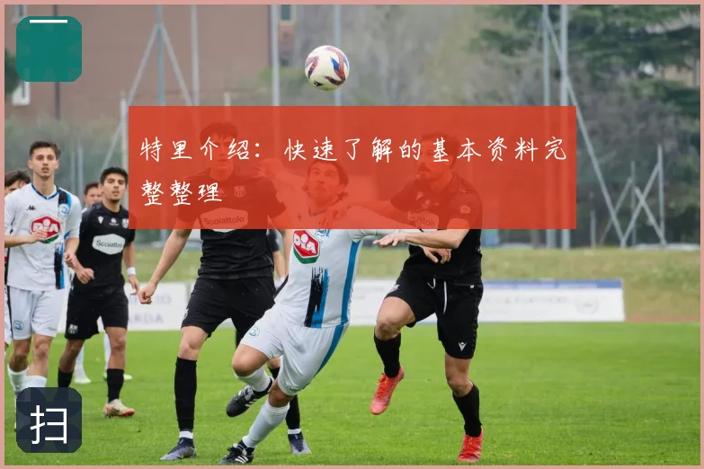 特里介绍：快速了解的基本资料完整整理